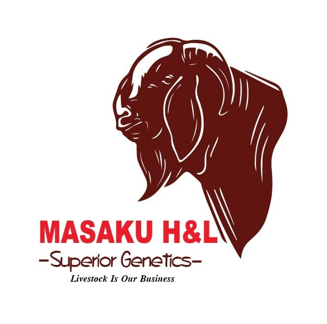 MasakuHL